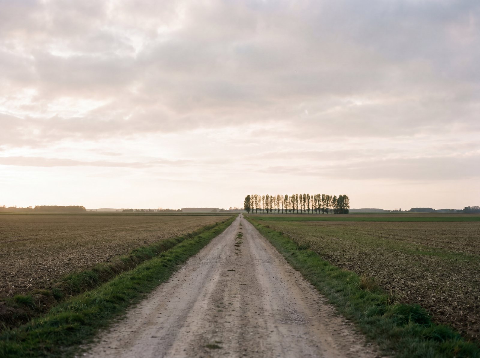 Horizon de campagne des Hauts-de-France, lumière basse